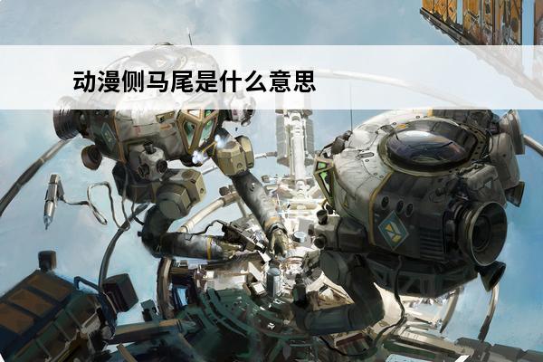 动漫侧马尾是什么意思啊(侧马尾危险)