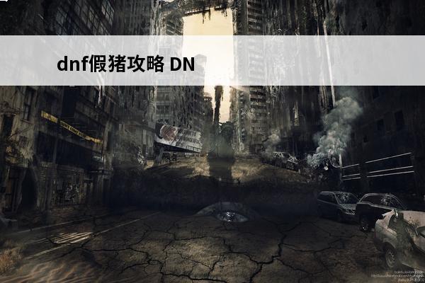dnf假猪攻略 DN