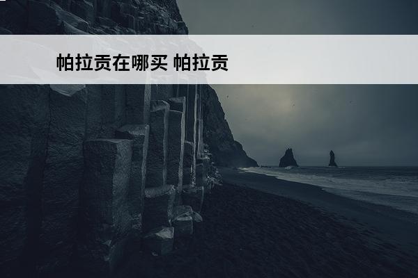 帕拉贡在哪买 帕拉贡