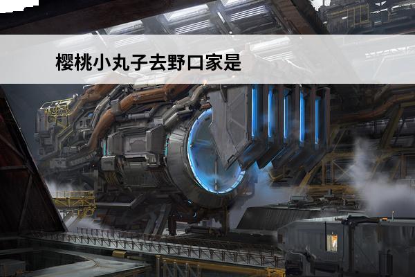 樱桃小丸子去野口家是