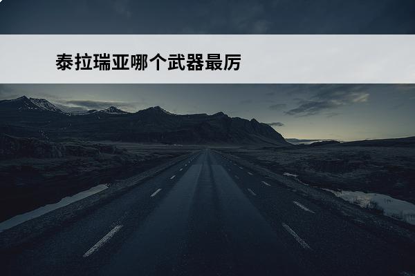 泰拉瑞亚哪个武器最厉