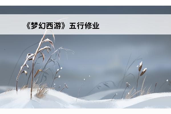 《梦幻西游》五行修业