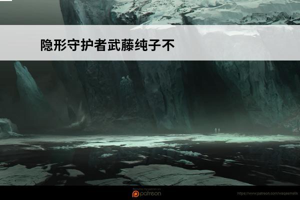 隐形守护者武藤纯子不