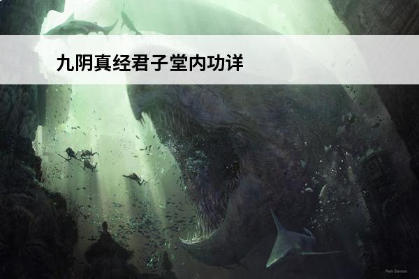 九阴真经君子堂内功详