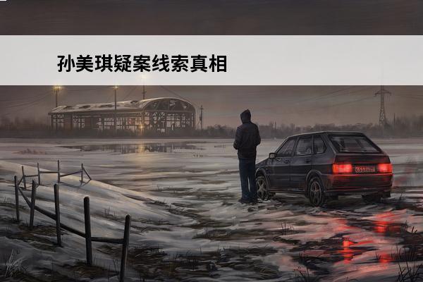 孙美琪疑案线索真相 