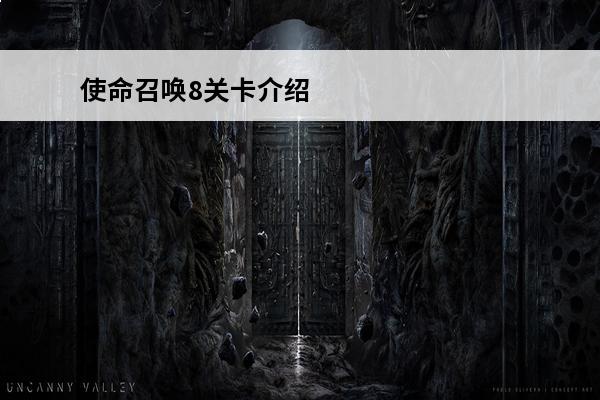 使命召唤8关卡介绍 