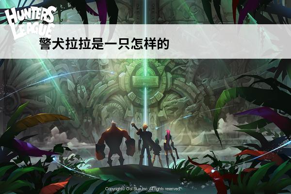 警犬拉拉是一只怎样的狗？(特种警犬多少钱一只)