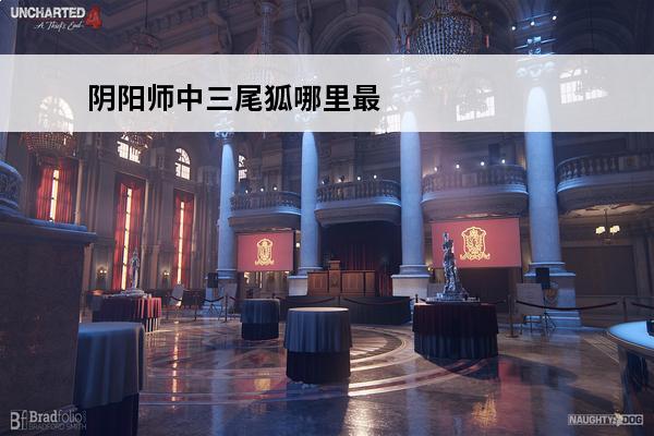 阴阳师中三尾狐哪里最多 阴阳师孟婆哪里最多介绍_阴阳师孟婆哪里最多是什么