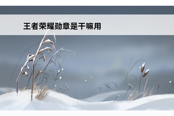 王者荣耀勋章是干嘛用