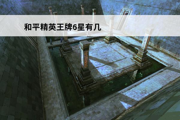 和平精英王牌6星有几