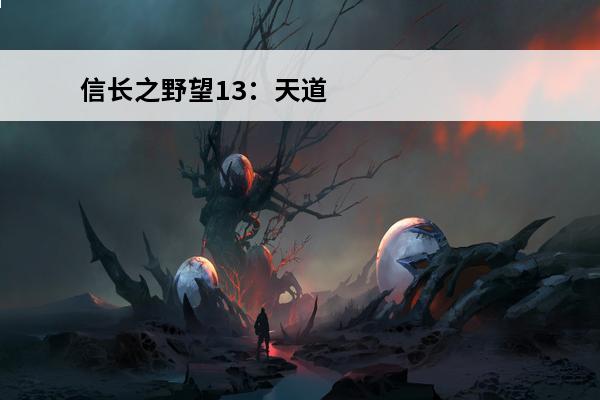 信长之野望13：天道