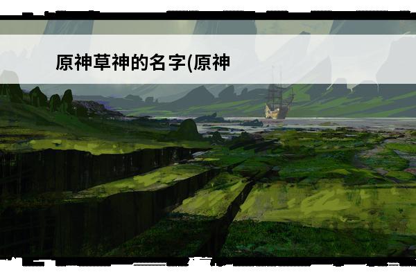 原神草神的名字(原神