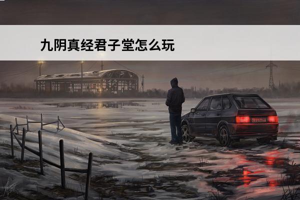 九阴真经君子堂怎么玩(九阴真经君子堂怎么下山)