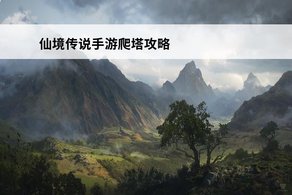 仙境传说手游爬塔攻略