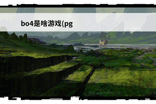 bo4是啥游戏(pg