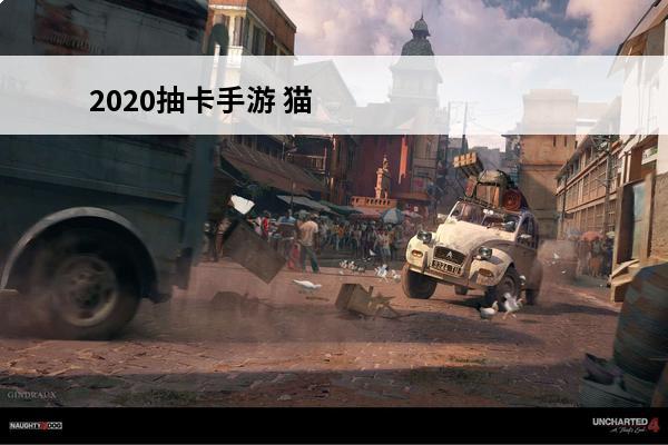 2020抽卡手游 猫