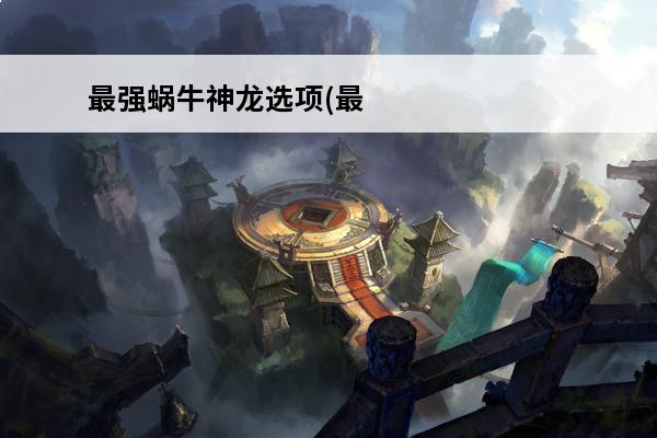 最强蜗牛神龙选项(最