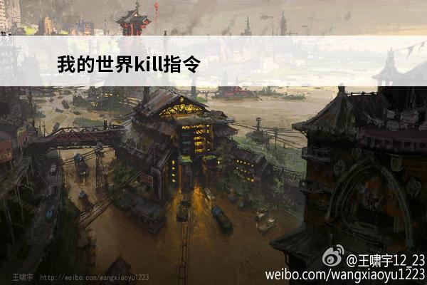 我的世界kill指令