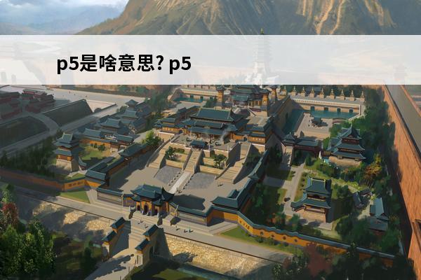 p5是啥意思? p5r又是啥意思(祸嫁是啥意思)