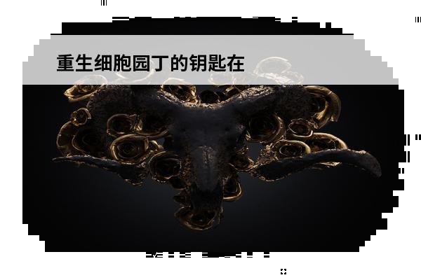 重生细胞园丁的钥匙在哪里介绍_重生细胞园丁的钥匙在哪里是什么(重生细胞,园丁的钥匙在哪里?)