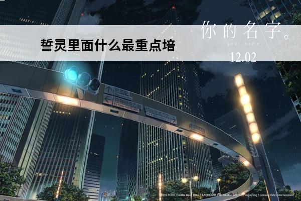 誓灵里面什么最重点培养 誓灵 誓灵养什么卡好？