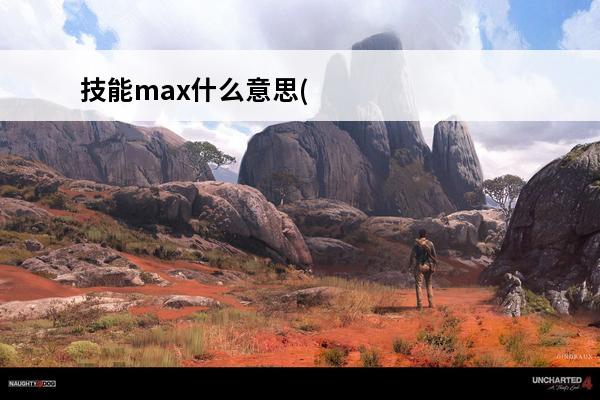 技能max什么意思(