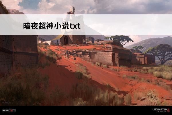暗夜超神小说txt 