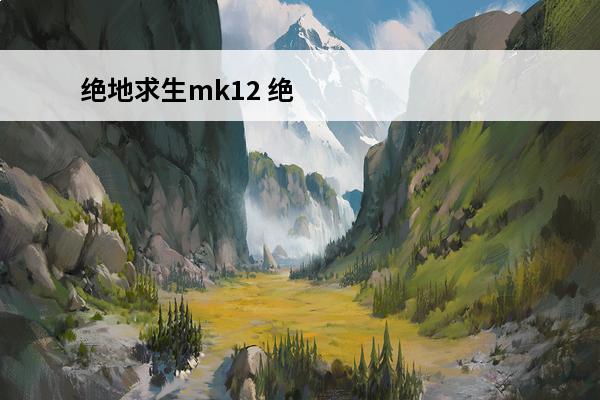 绝地求生mk12 绝