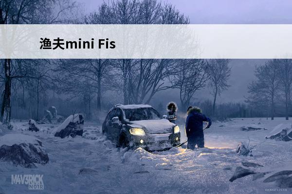 渔夫mini Fis