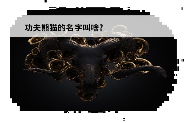 功夫熊猫的名字叫啥?