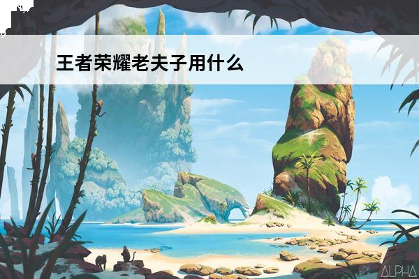 王者荣耀老夫子用什么
