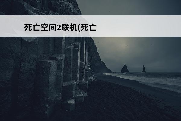 死亡空间2联机(死亡