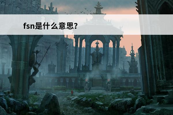 fsn是什么意思？ 