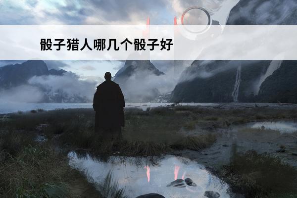 骰子猎人哪几个骰子好