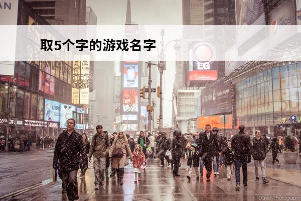 取5个字的游戏名字 