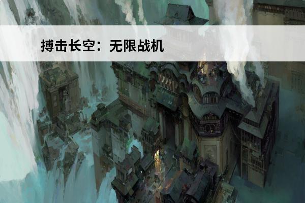 搏击长空：无限战机 