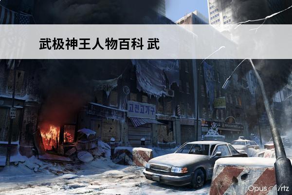 武极神王人物百科 武