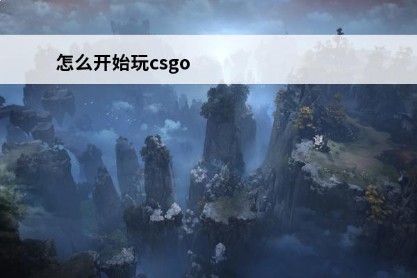 怎么开始玩csgo 