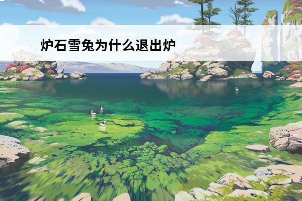 炉石雪兔为什么退出炉石（炉石传说雪兔退出原因介绍）「必看」(炉石传说雪妍)