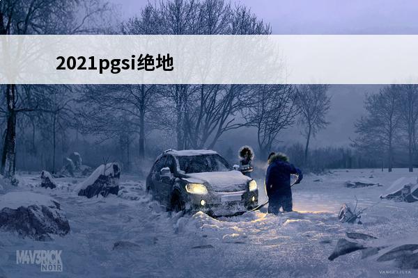 2021pgsi绝地