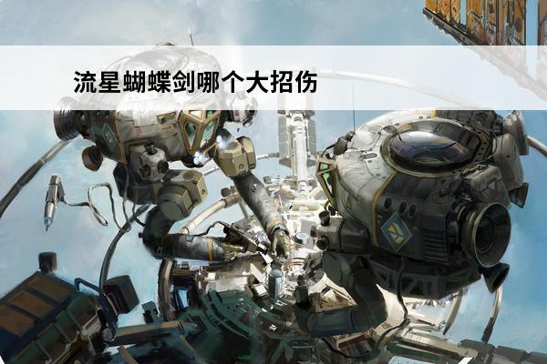 流星蝴蝶剑哪个大招伤