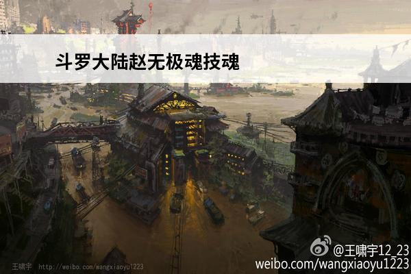 斗罗大陆赵无极魂技魂