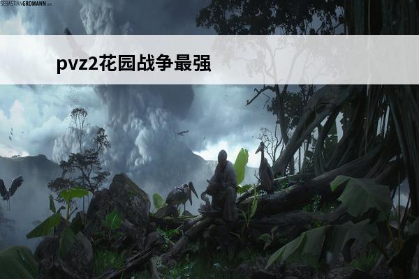 pvz2花园战争最强阵容(花园阵容)