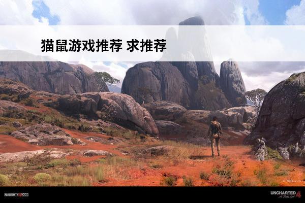 猫鼠游戏推荐 求推荐