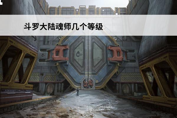 斗罗大陆魂师几个等级