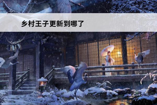 乡村王子更新到哪了 