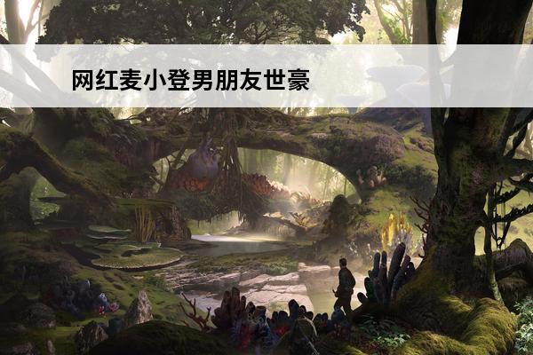 网红麦小登男朋友世豪