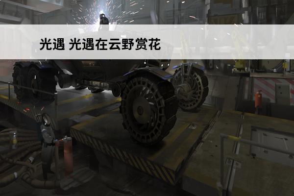 光遇 光遇在云野赏花怎么做？(光遇云野赏花)