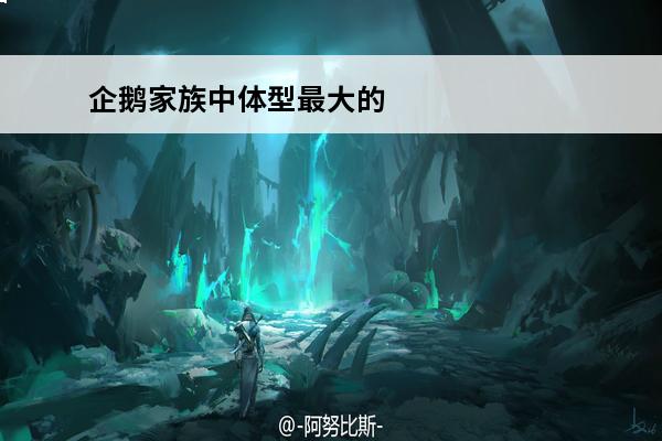 企鹅家族中体型最大的