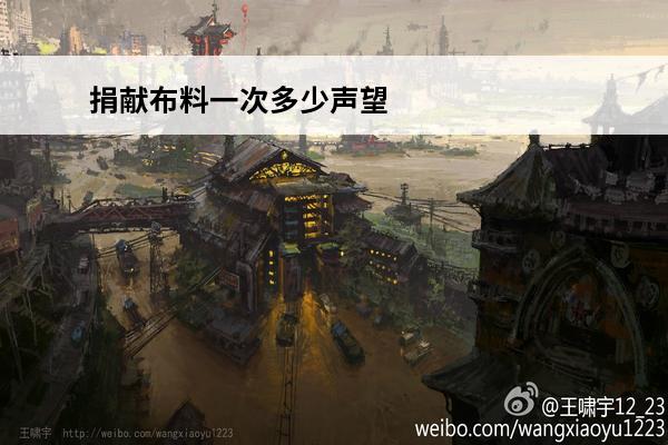 捐献布料一次多少声望